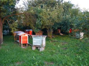 Zbigniew Sapuła - Ewunin