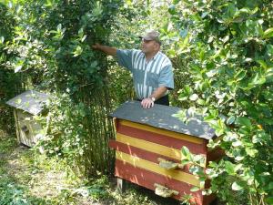 Jan Koper - Wilkołaz Drugi