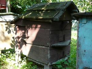 Henryk Styliński - Ostrów Kolonia