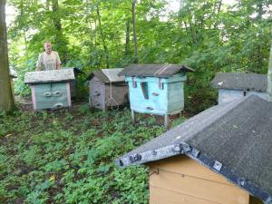 Czesław Dubil - Zalesie