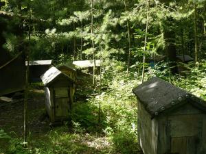 Roman Leziak - Ryczydół