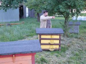 Sylwester Samolej - Zalesie