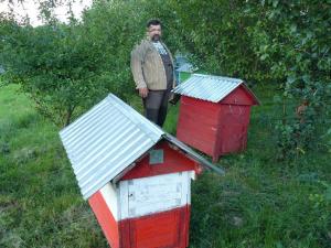 Sylwester Samolej - Zalesie