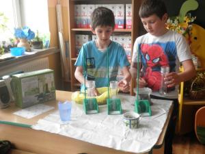 Stacja hodowli roślin