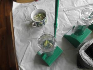 Stacja hodowli roślin