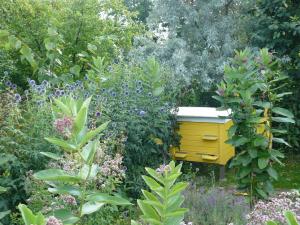 Ryszard Pelc - Wilkołaz Pierwszy