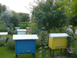 Ryszard Pelc - Wilkołaz Pierwszy