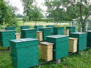 Longin Pizoń - Zalesie