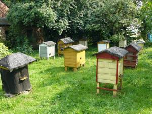 Zbigniew Szyszka - Ostrów-Kolonia