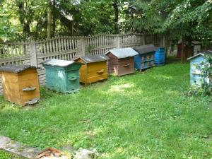 Katarzyna Żytek - Wilkołaz Górny