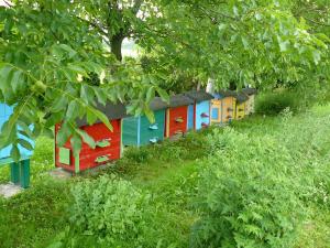 Mariusz Cielica - Wilkołaz Górny