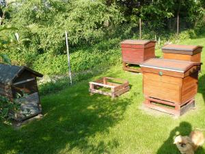 Wojciech Kloc - Zdrapy