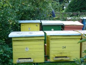 Kazimierz Pawłowski - Wólka Rudnicka