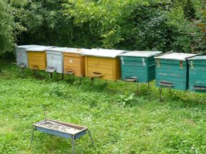 Bogdan Kuśmierz - Wólka Rudnicka