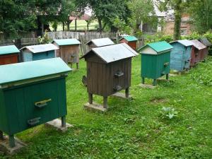 Kazimierz Wielgus - Pułankowice