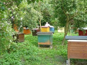 Czesław Wielgus - Pułankowice