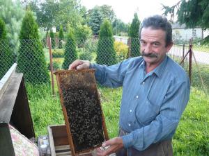 Zenon Maciąg - Wilkołaz Pierwszy