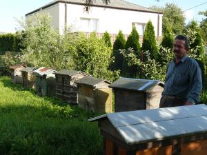 Zenon Maciąg - Wilkołaz Pierwszy