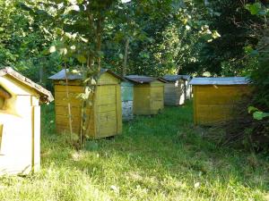 Zygmunt Kułaczkowski - Wilkołaz Drugi